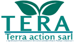 Terra Action