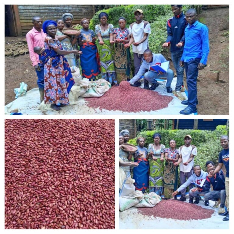 Kabare:L&rsquo;entreprise TERA lance la campagne de distribution des semences agricoles pour la saison B et sensibilise pour la protection du PNKB