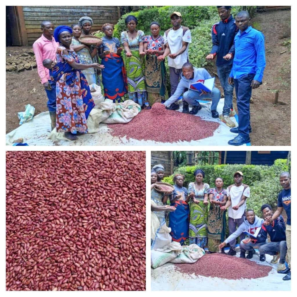 Lire la suite à propos de l’article Kabare:L&rsquo;entreprise TERA lance la campagne de distribution des semences agricoles pour la saison B et sensibilise pour la protection du PNKB