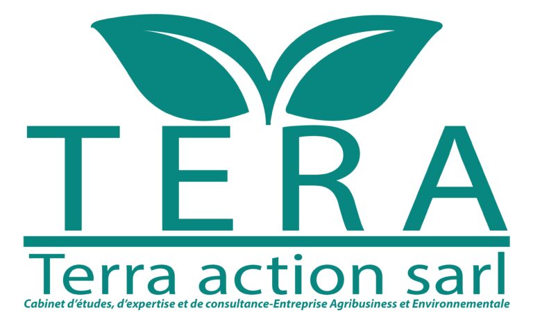 Kabare : les pluies torrentielles dévastent les cultures et plongent les agriculteurs dans la détresse