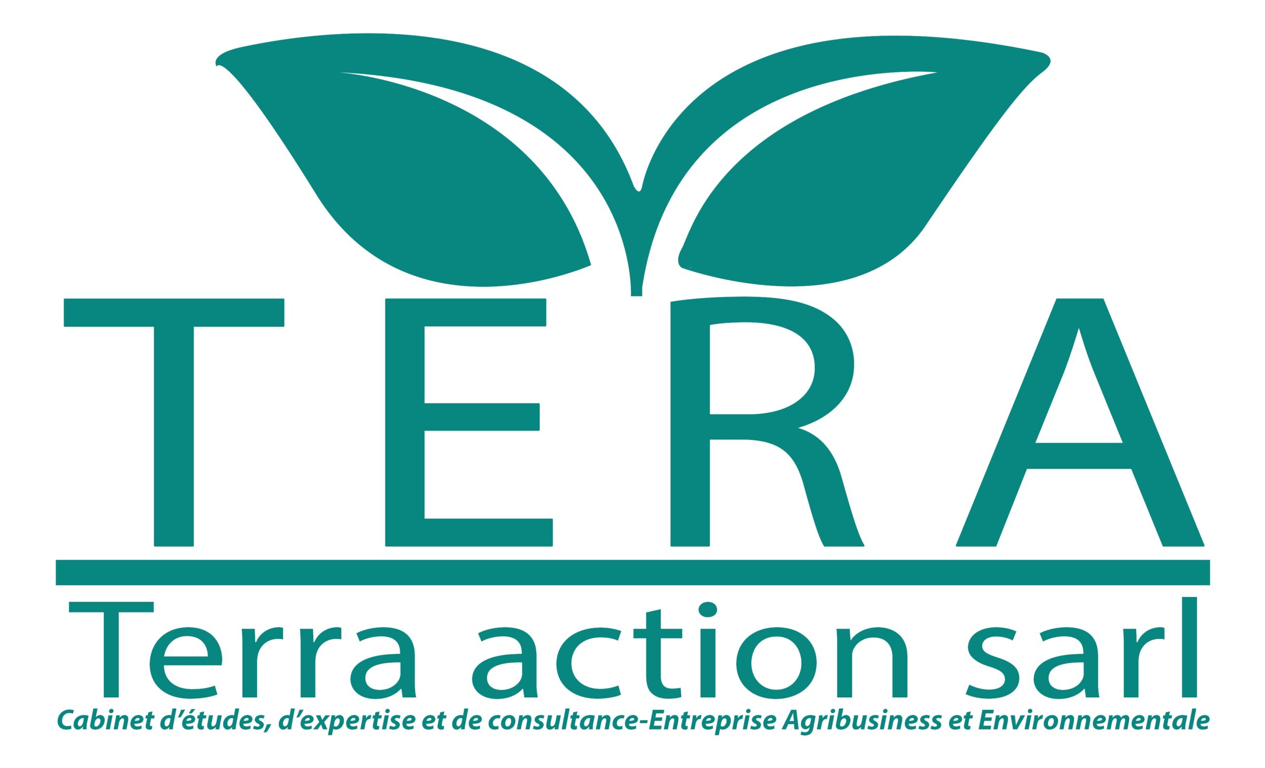 You are currently viewing Kabare : les pluies torrentielles dévastent les cultures et plongent les agriculteurs dans la détresse