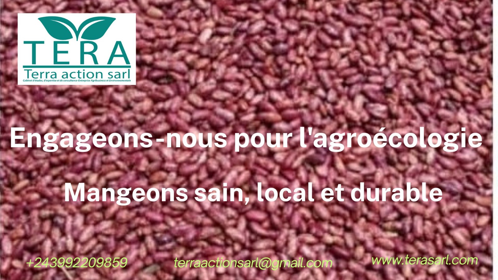 You are currently viewing Sud-Kivu:Terra Action Sarl disponibilise des haricots bio et autres produits