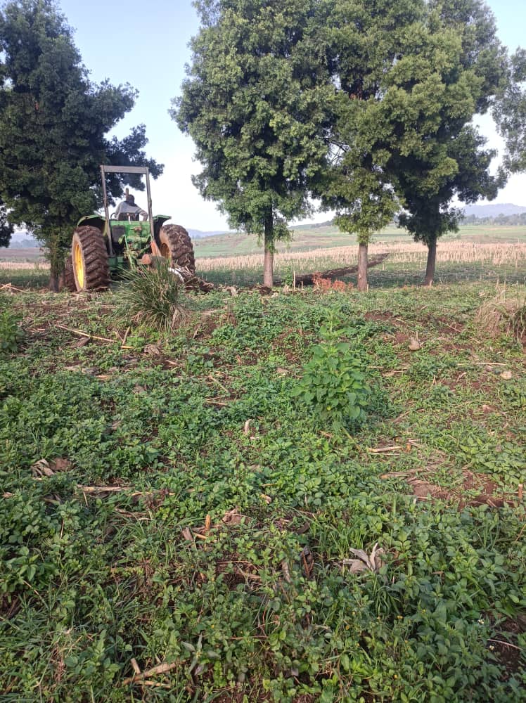 KABARE : TERRA-DINAGRI RAPPORT SUR LE DEVELOPPEMENT INTEGRE DU SECTEUR SEMENCIER